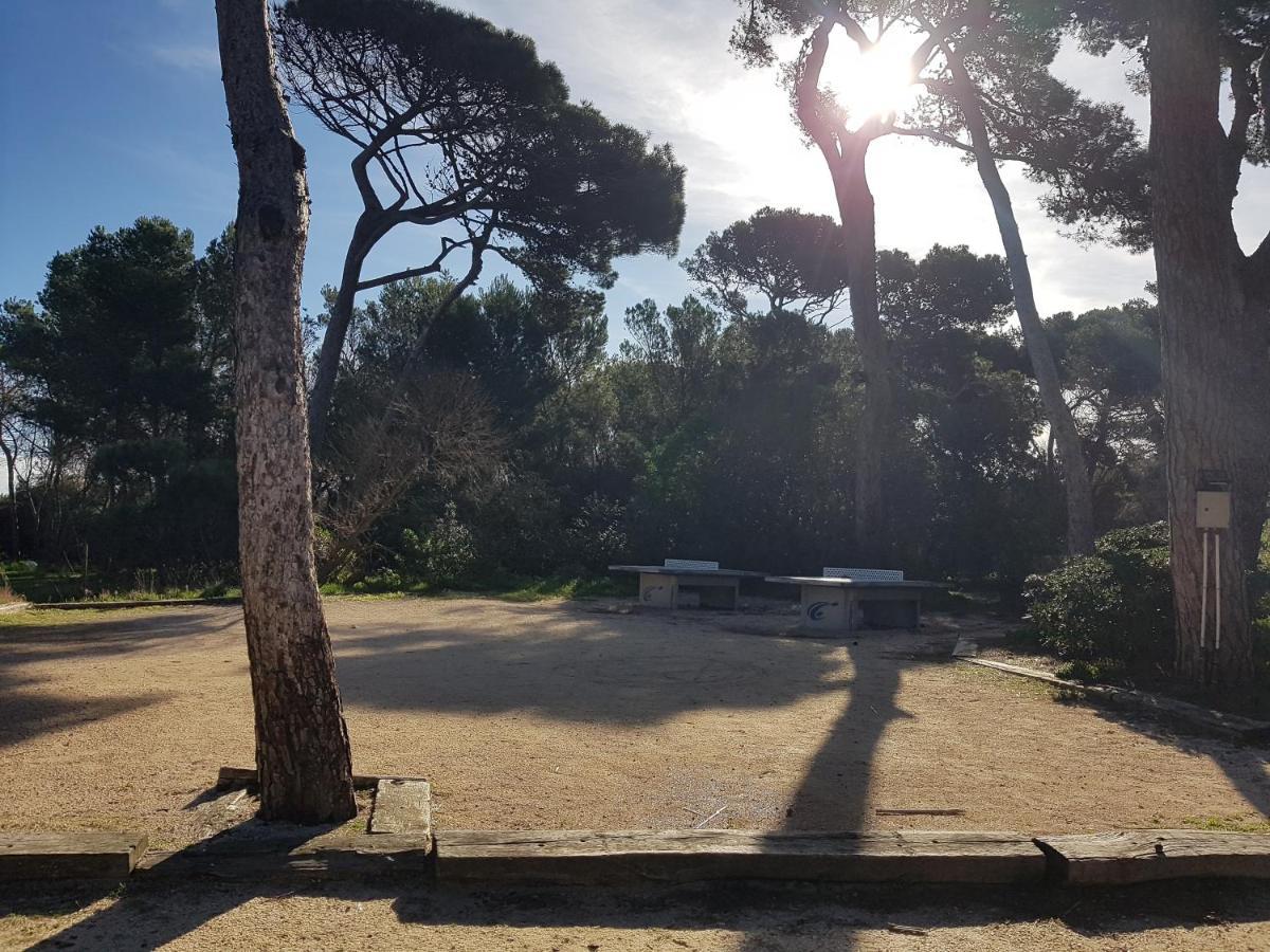 Le Studio De Giens Ιέρ Εξωτερικό φωτογραφία